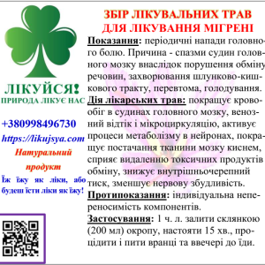 ЗБІР ЛІКУВАЛЬНИХ ТРАВ ДЛЯ ЛІКУВАННЯ МІГРЕНІ 200гр