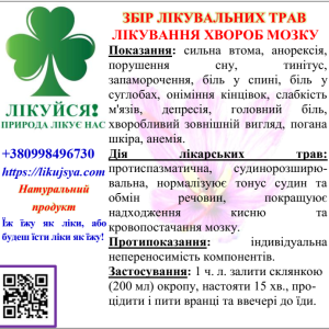 ЗБІР ЛІКУВАЛЬНИХ ТРАВ ДЛЯ ЛІКУВАННЯ ХВОРОБ МОЗКУ 200гр