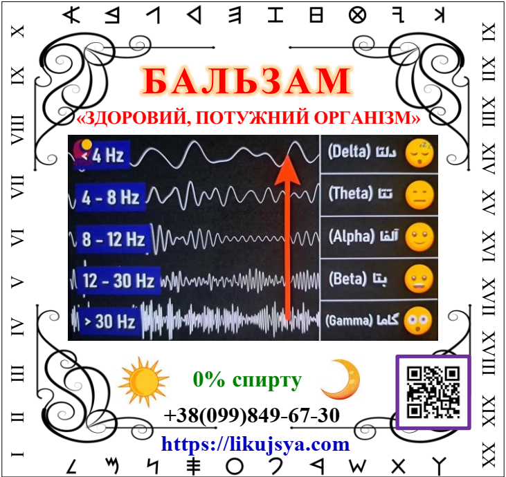 B_ЗПО_UA БАЛЬЗАМ «ЗДОРОВИЙ, ПОТУЖНИЙ ОРГАНІЗМ»